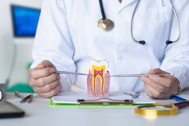 Best Emergency Tooth Extraction in Minot Af, ND